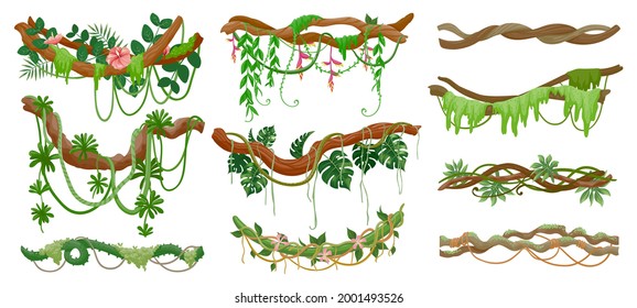 Jungle Lianas. Rainforest Green Vine Hanging On Branch. Cartoon Tropical Leaves, Liana, Moss And Flowers On Tree. Creeper Plants Vector Set. Illustration Tropical Green Branch, Environment Tree Leaf