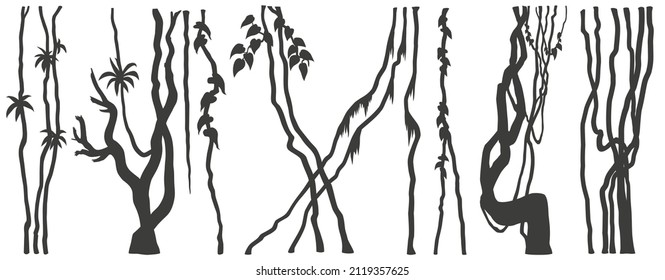 jungle lianas silhouette on the white background volume 