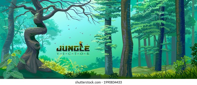 Jungle with lush green grass, large trees, thick bushes and the mysterious mist in the background.