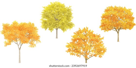 Jungle Maple,Silver wattle,Autumn trees shapes cutout 3d render set