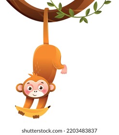 Jungle monkey icon. Cute animal with banana in its hands hangs on tree branch. Adorable character eats, wild life, trails and Africa. Social network sticker. Cartoon flat vector illustration