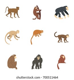 Jungle monkey icon set. Flat set of 9 jungle monkey vector icons for web isolated on white background