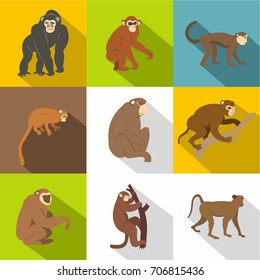 Jungle monkey icon set. Flat style set of 9 jungle monkey vector icons for web design