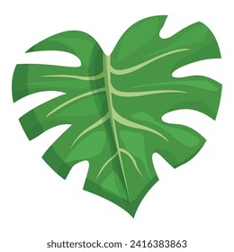 Jungle monstera icon cartoon vector. Plant green. Leaf palm frond