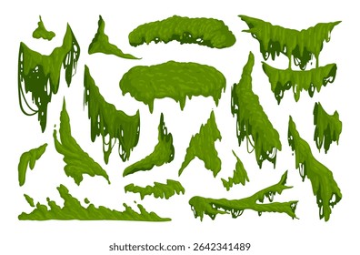 Jungle moss. Hanging and creeping lichen and moss, green moss plants flat vector illustration set. Cartoon rainy forest flora on white