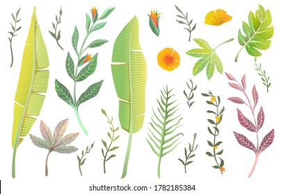 Jungle nature leaves, tropical collection of isolated realistic palm and banana leaves and flowers summer elements. Flowers and exotic leaves vector realistic hand drawn clipart collection.