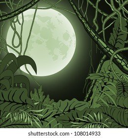 jungle at night