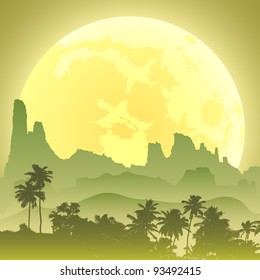 jungle at night