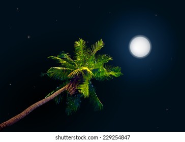 jungle at night. Vector background with moon and palm