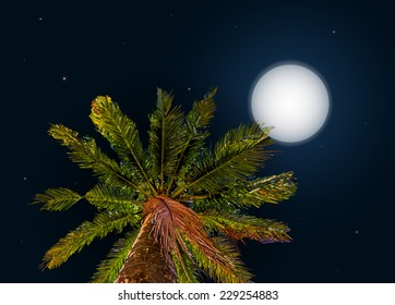 jungle at night. Vector background with moon and palm
