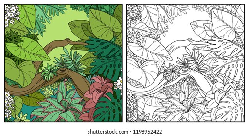 Jungle with overgrown lake color and black contour line drawing for coloring on a white background