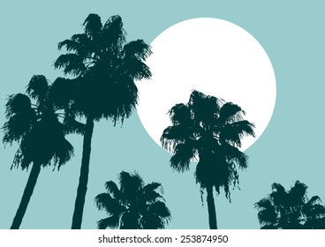 Jungle palm