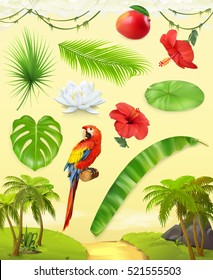 Jungla. Palma, plátano, mango, loro, lirio acuático, hibisco. Juego de hojas y flores. Plantas tropicales. Conjunto de iconos de vector 3d