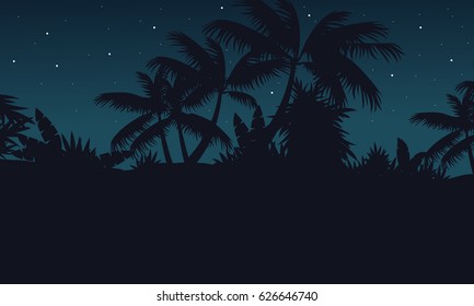 Jungle with palm tree at night scenery