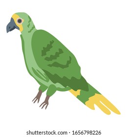 Jungle parrot icon. Isometric of jungle parrot vector icon for web design isolated on white background