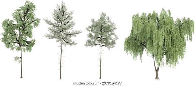 Jungle Pinus pinaster, Willow, Loblolly Pinienbäume Formen 3D-Renderset