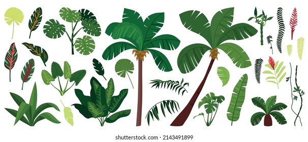 Jungle plant colored and isolated icon set palm trees green leaves and bushes vector illustration