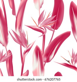 Jungle plant Strelitzia Reginae known as crane flower, bird of paradise vector background illustration, fabric print, textile. South African tropical flower seamless pattern in red and white colors.