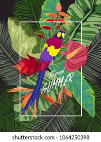 jungle plant, Toucan bird in the jungle. Tropical background