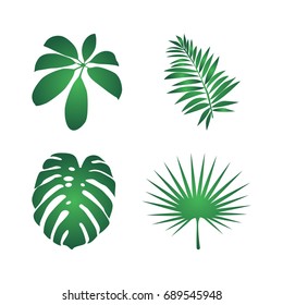 Jungle plants