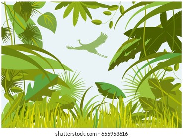 Jungle plants, folliage, green color background