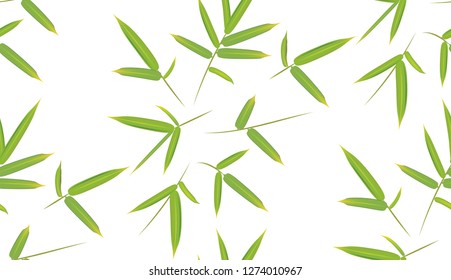 Jungle plants, green bamboo leaves pattern design background.