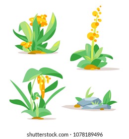 Jungle Plants Set