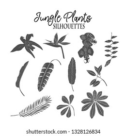 Jungle plants sketches. Hand Drawn Background.  Vector Illustration