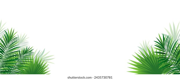 Jungle plants template background. Tropical border frame vector illustration with copy space. Rainforest amazon foliage wallpaper. Green tropic pattern with coconut palm leaf, monstera, areca palm.