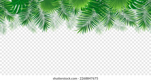 Jungle plants template banner. Tropical seamless border frame. vector illustration. Rainforest foliage repeated wallpaper. Green template pattern with tropic palm leaf, monstera. exotic background.