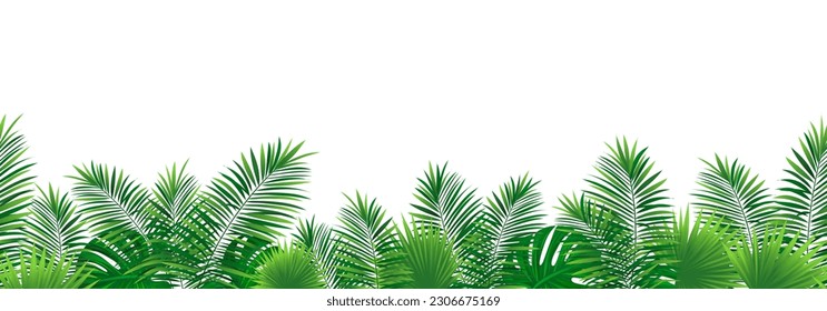 Jungle plants template banner. Tropical seamless border frame. vector illustration. Rainforest foliage repeated wallpaper. Green template pattern with tropic palm leaf, monstera. exotic background