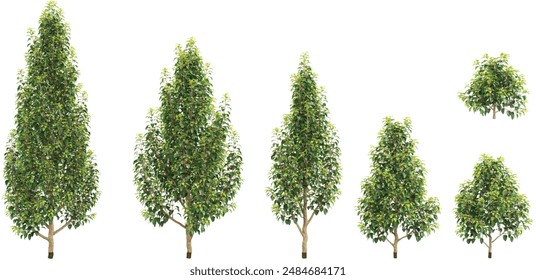 Jungle Portugal laurel trees shapes cutout 3d render