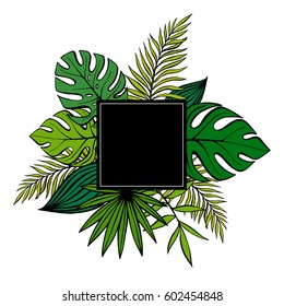 Jungle poster with black frame.Tropical plants of different shapes  Leaves of palm vector drawing by hand. Designer blank background for text .