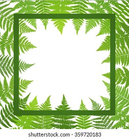 Jungle poster. Fern frond background. Vector illustration.