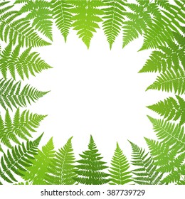 Jungle poster. Fern frond background. Vector illustration