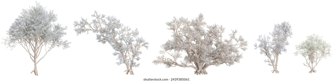 Jungle Psorothamnus-spinosus plants shapes cutout 3d render