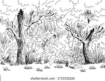 Jungle rain forest graphic black white landscape sketch illustration vector