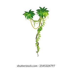 Jungle rain forest liana vine branch and leaves. Amazon rain forest nature vine shrub branch isolated cartoon vector spacer, tropical jungle creeper liana twig, Amazon flora ivy plant twig line