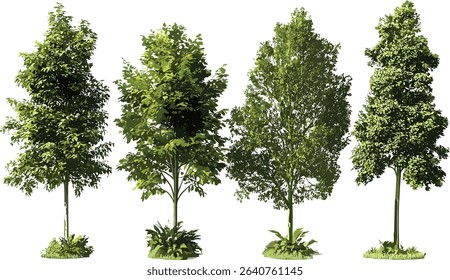 Jungle rain forest trees vector cutout set shapes, tropical plants, nature illustration, forest background, exotic foliage, wildlife, lush greenery, eco friendly design
