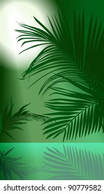 jungle rain forest (tropical plants vector image)