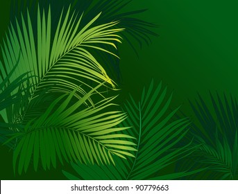 jungle rain forest (tropical plants vector image)