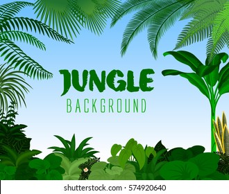 jungle rainforest background. Vector illustration