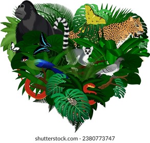 jungle rainforest heart illustrations with goliath beetle, gorilla, leopard, lemur, turaco and butterflies