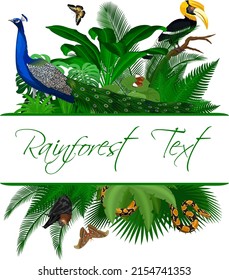 Jungle Rainforest Summer Tropical Leaves Wildlife Vector Design with great hornbill, peacock and butterflies