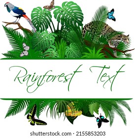 Jungle Rainforest Summer Tropical Leaves Wildlife Vector Design with clouded leopard, diamond pheasant and butterflies