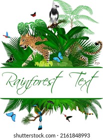 Jungle Rainforest Summer Tropical Leaves Wildlife Vector Design with jaguar, harpy eagle, coral snake, brown motmot, hummingbirds and butterflies