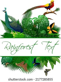 Jungle Rainforest Summer Tropical Leaves Wildlife Vector Design with golden pheasant, green peacock and butterflies
