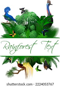 Jungle Rainforest Summer Tropical Leaves Wildlife Vector Design with bird of paradise, cassowary, fruit bat, victoria crowned pigeon and  birdwing butterflies