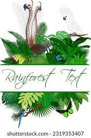 Jungle Rainforest Summer Tropical Leaves Wildlife Vector Design with  Lyrebird, Echidna,  White cockatoo and birdwing butterflies