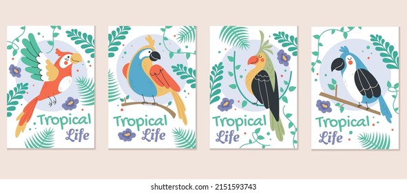 Jungle safari birds parrot greeting cards template set. Vector flat graphic design element